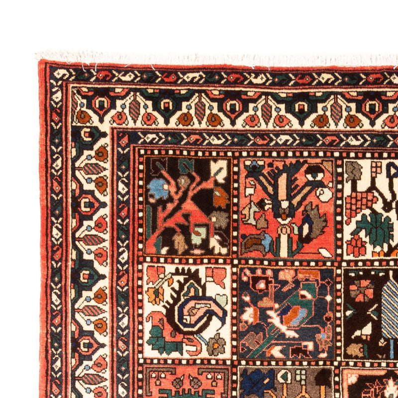 Bakhtiari Teppe 205x300cm - Persisk teppe