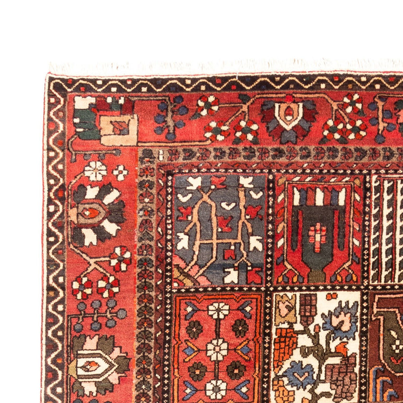 Persisk teppe - Nomadisk - 314 x 207 cm - flerfarget