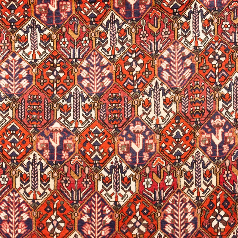 Bakhtiari Teppe 310x210cm - Persisk teppe