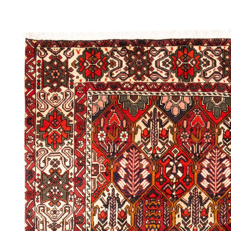 Bakhtiari Teppe 310x210cm - Persisk teppe