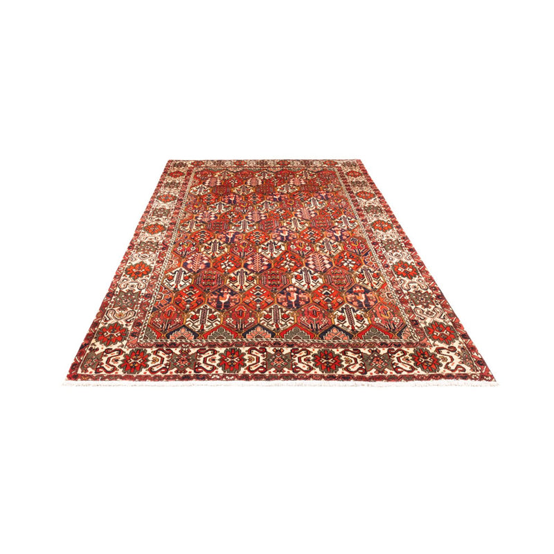 Bakhtiari Teppe 310x210cm - Persisk teppe