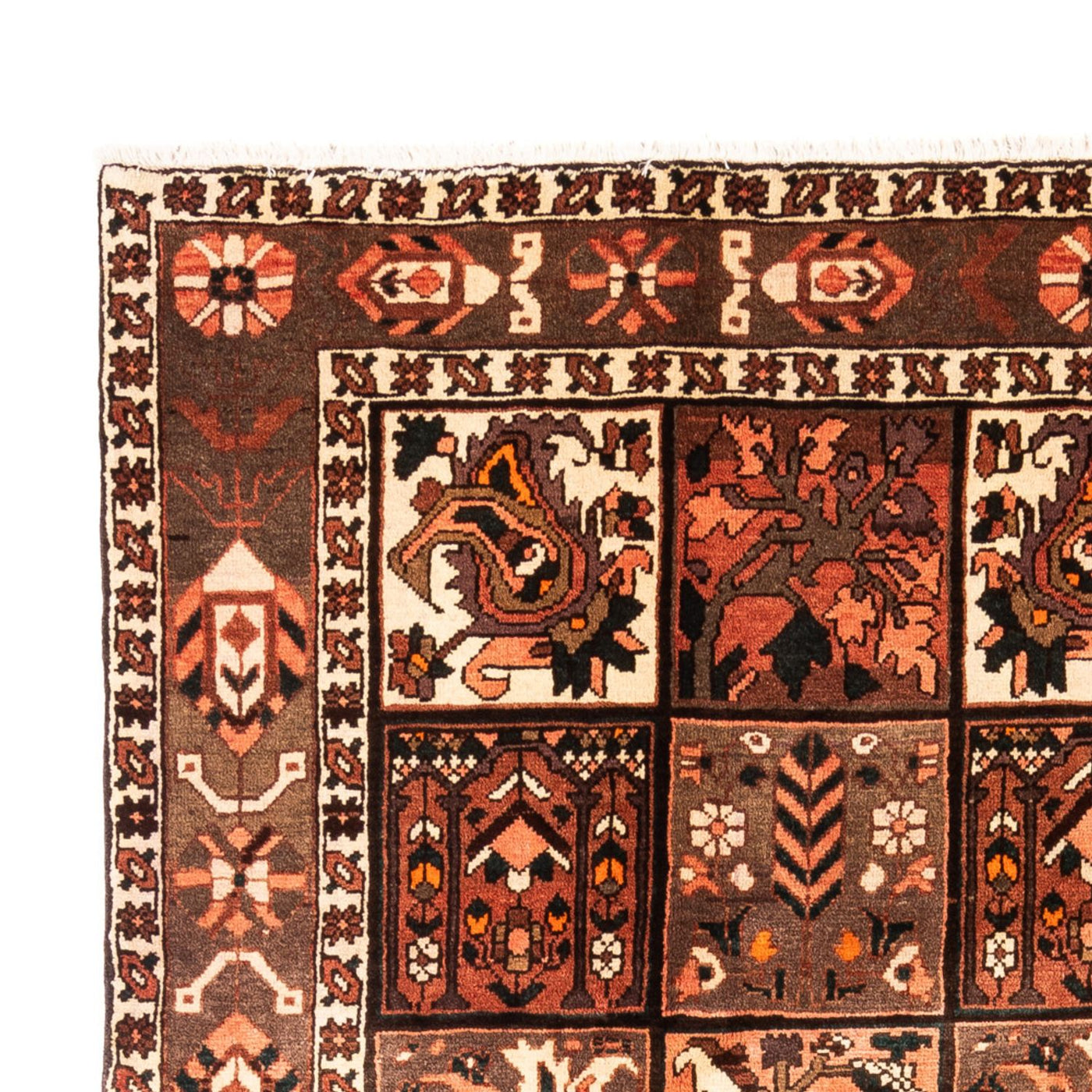 Persisk teppe - Nomadisk - 307 x 206 cm - flerfarget