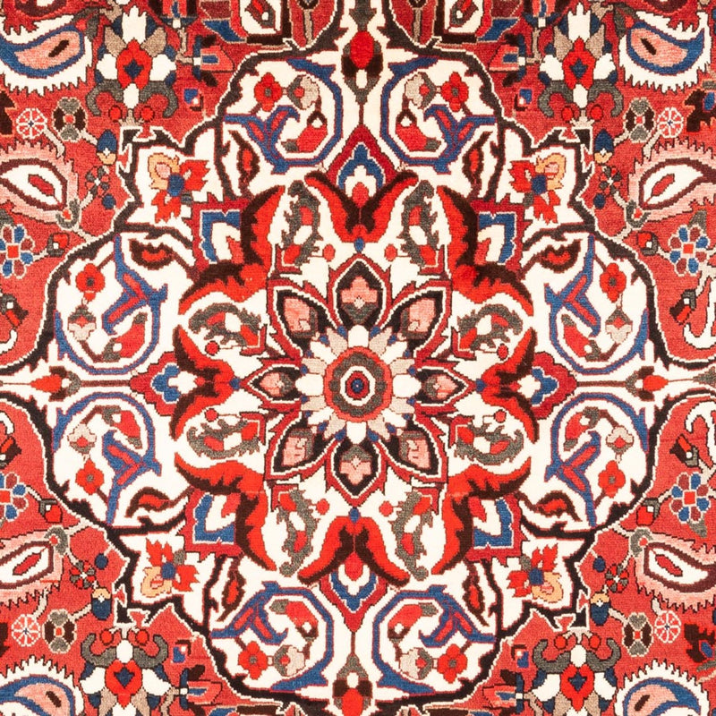 Bakhtiari Teppe 315x207cm - Persisk teppe