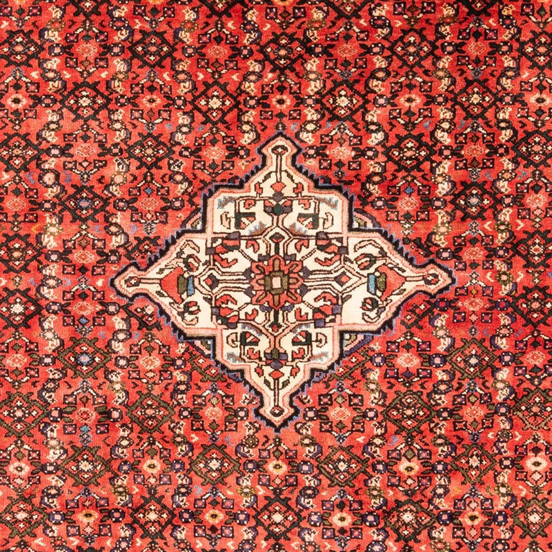 Hamadan Teppe 285x204cm - Persisk teppe