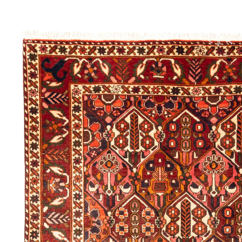 Persisk teppe - Nomadisk - 308 x 210 cm - flerfarget