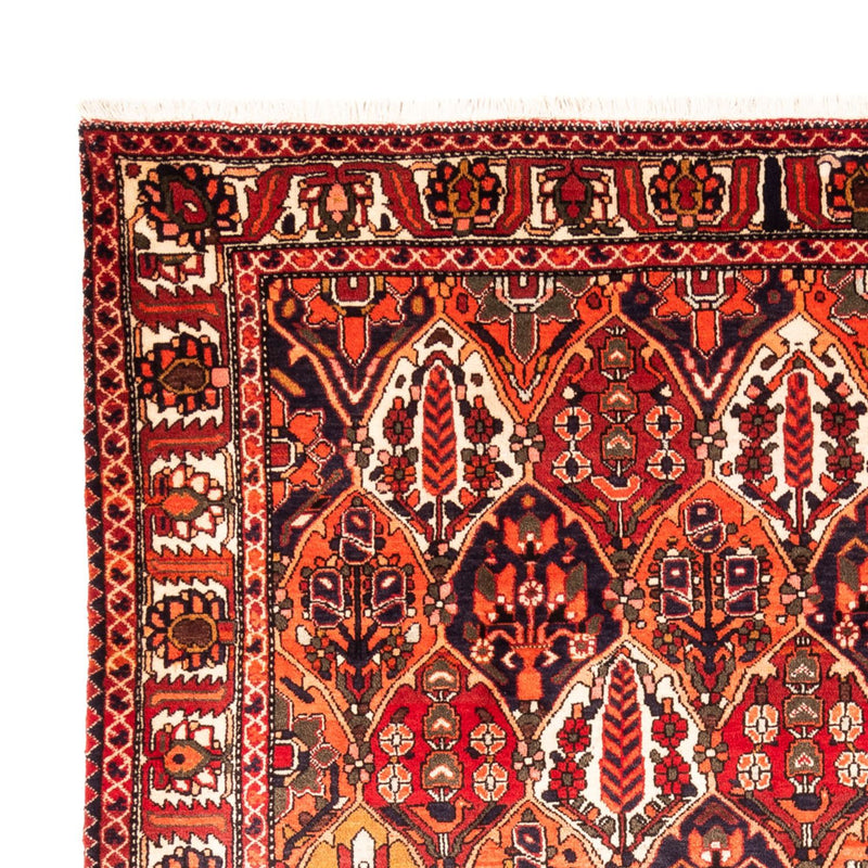 Persisk teppe - Nomadisk - 300 x 220 cm - flerfarget