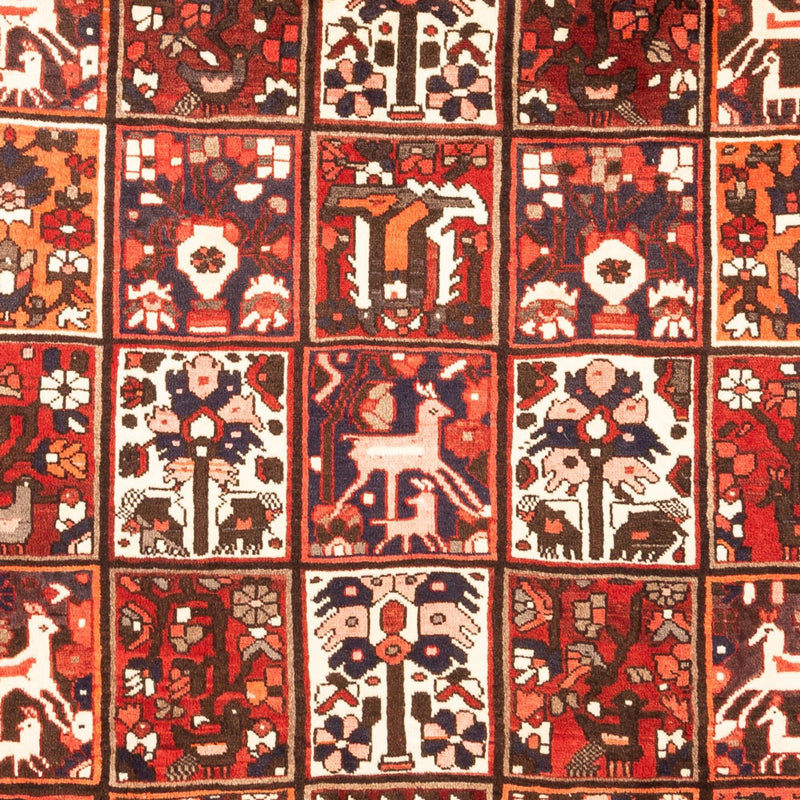Bakhtiari Teppe 307x205cm - Persisk teppe