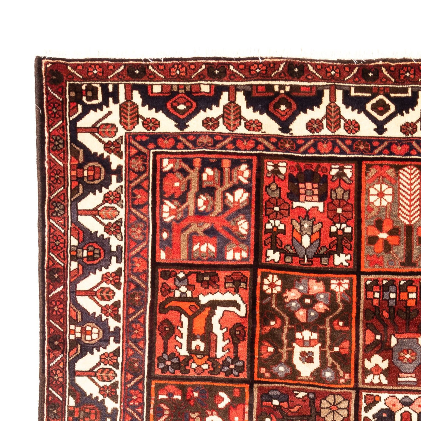 Bakhtiari Teppe 307x205cm - Persisk teppe