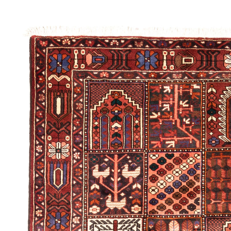Bakhtiari Teppe 310x208cm - Persisk teppe