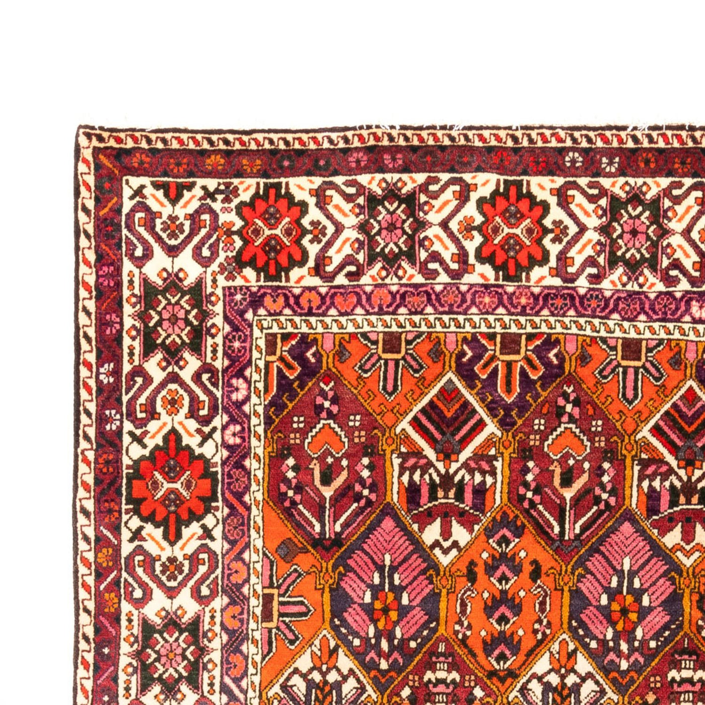 Bakhtiari Teppe 310x203cm - Persisk teppe
