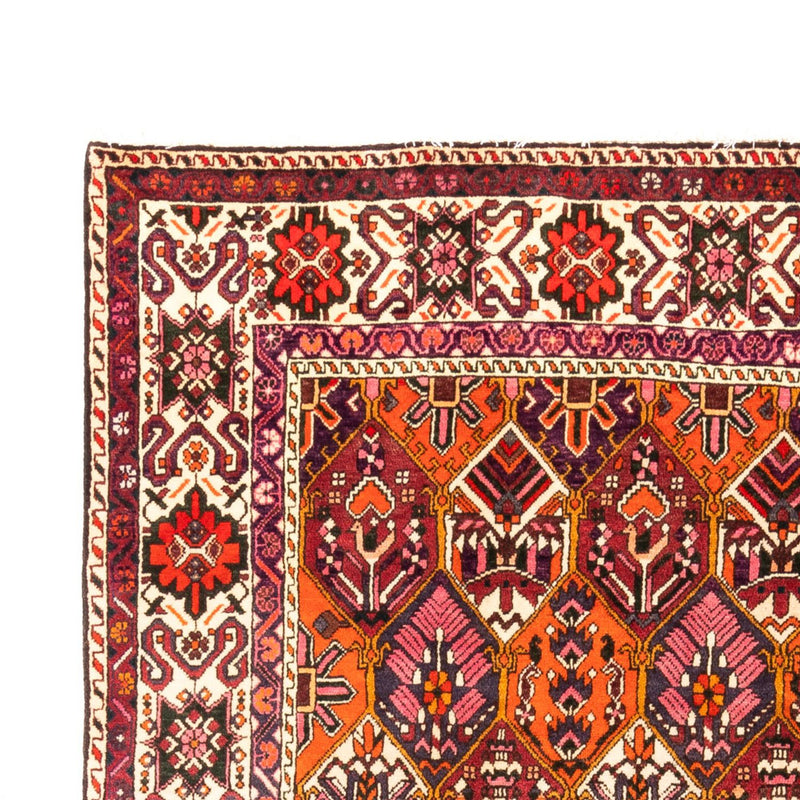 Bakhtiari Teppe 310x203cm - Persisk teppe