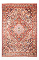 Bakhtiari Teppe 312x214cm - Persisk teppe