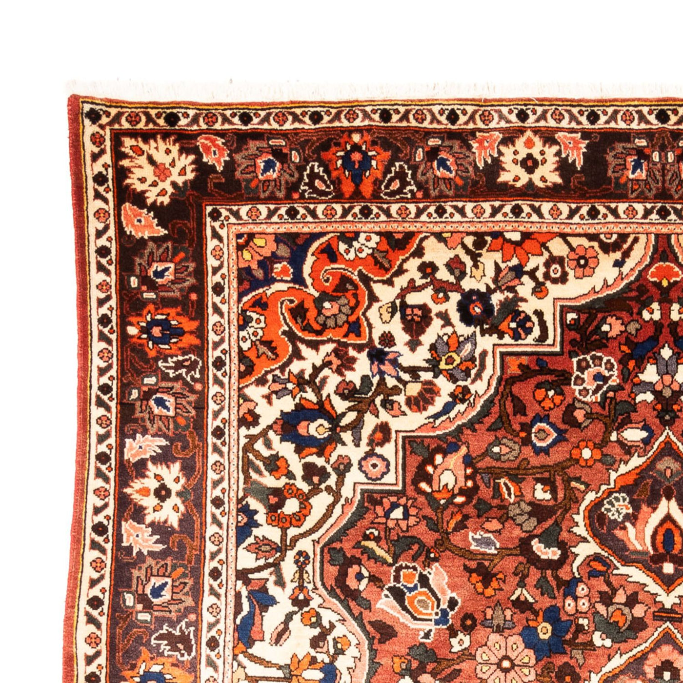 Bakhtiari Teppe 305x217cm - Persisk teppe