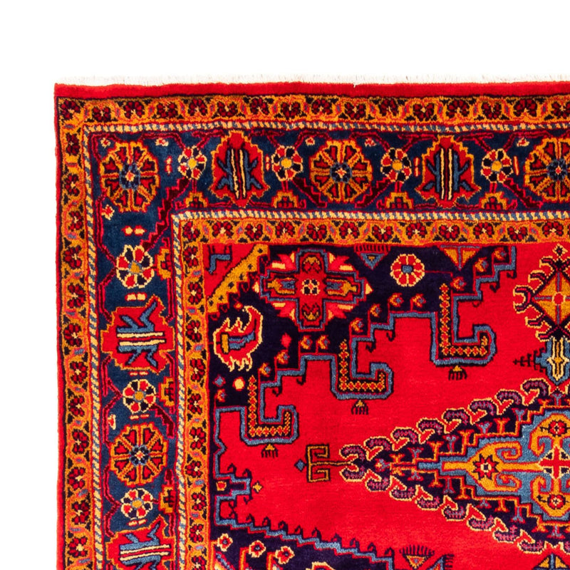 Wiss Teppe 323x207cm - Persisk teppe