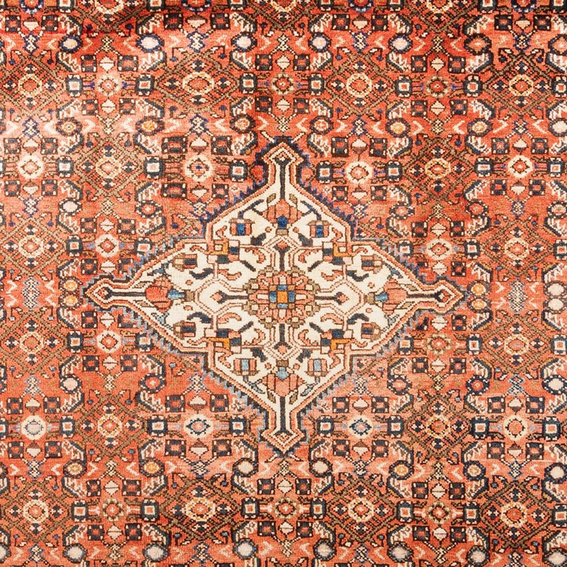 Hamadan Teppe 308x211cm - Persisk teppe