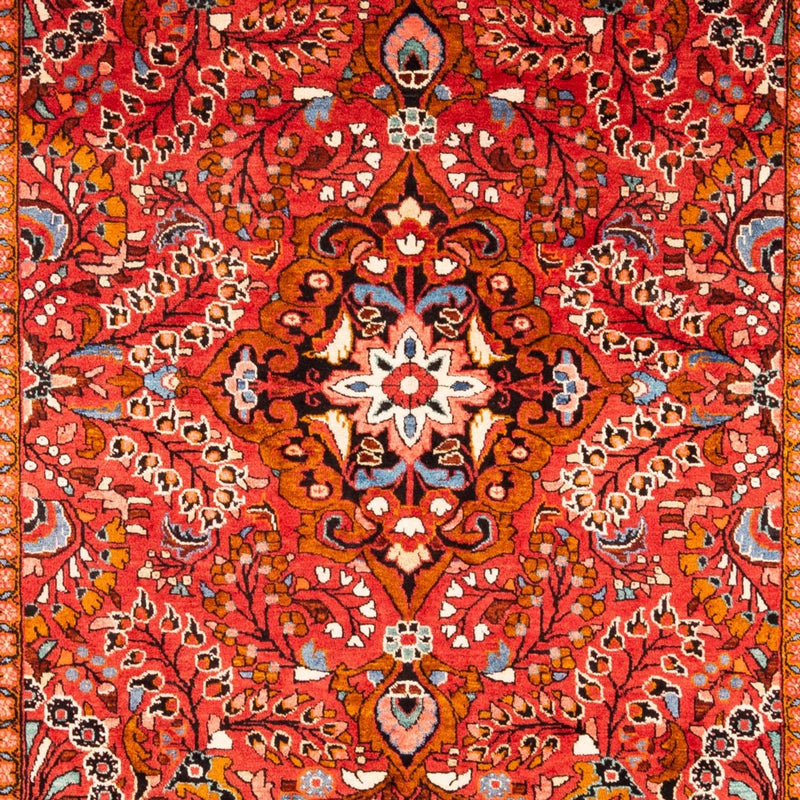Lilian Teppe 340x227cm - Persisk teppe