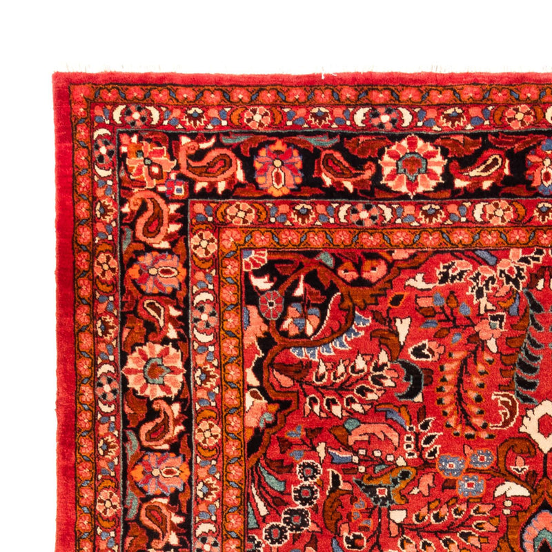 Lilian Teppe 340x227cm - Persisk teppe