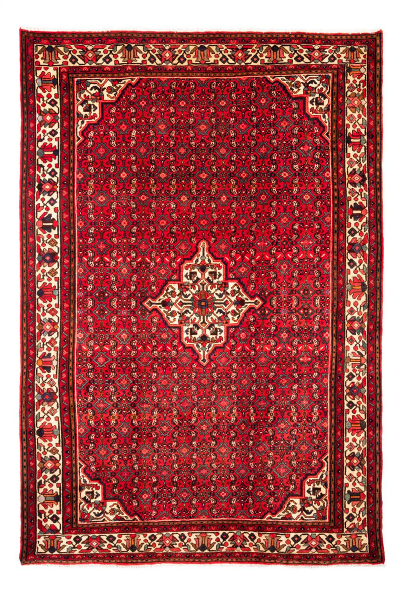 Hosseinabad Teppe 212x304cm - Persisk teppe