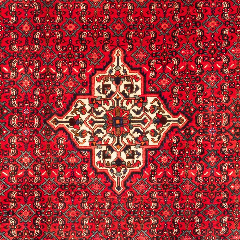 Hosseinabad Teppe 212x304cm - Persisk teppe