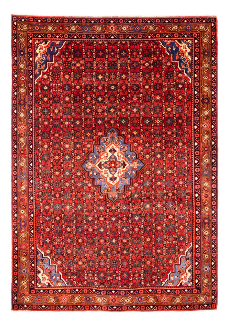 Hosseinabad Teppe 307x221cm - Persisk teppe