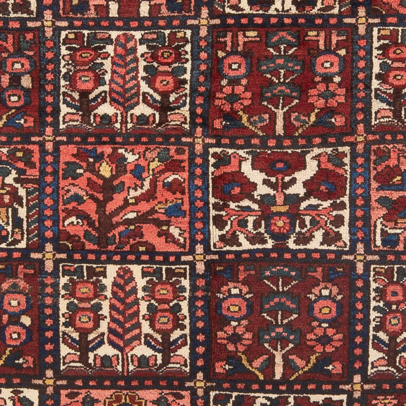 Bakhtiari Teppe 202x157cm - Persisk teppe
