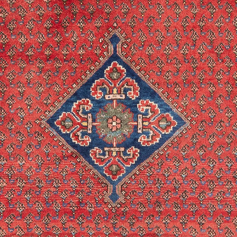 Hamadan Teppe 130x210cm - Persisk teppe