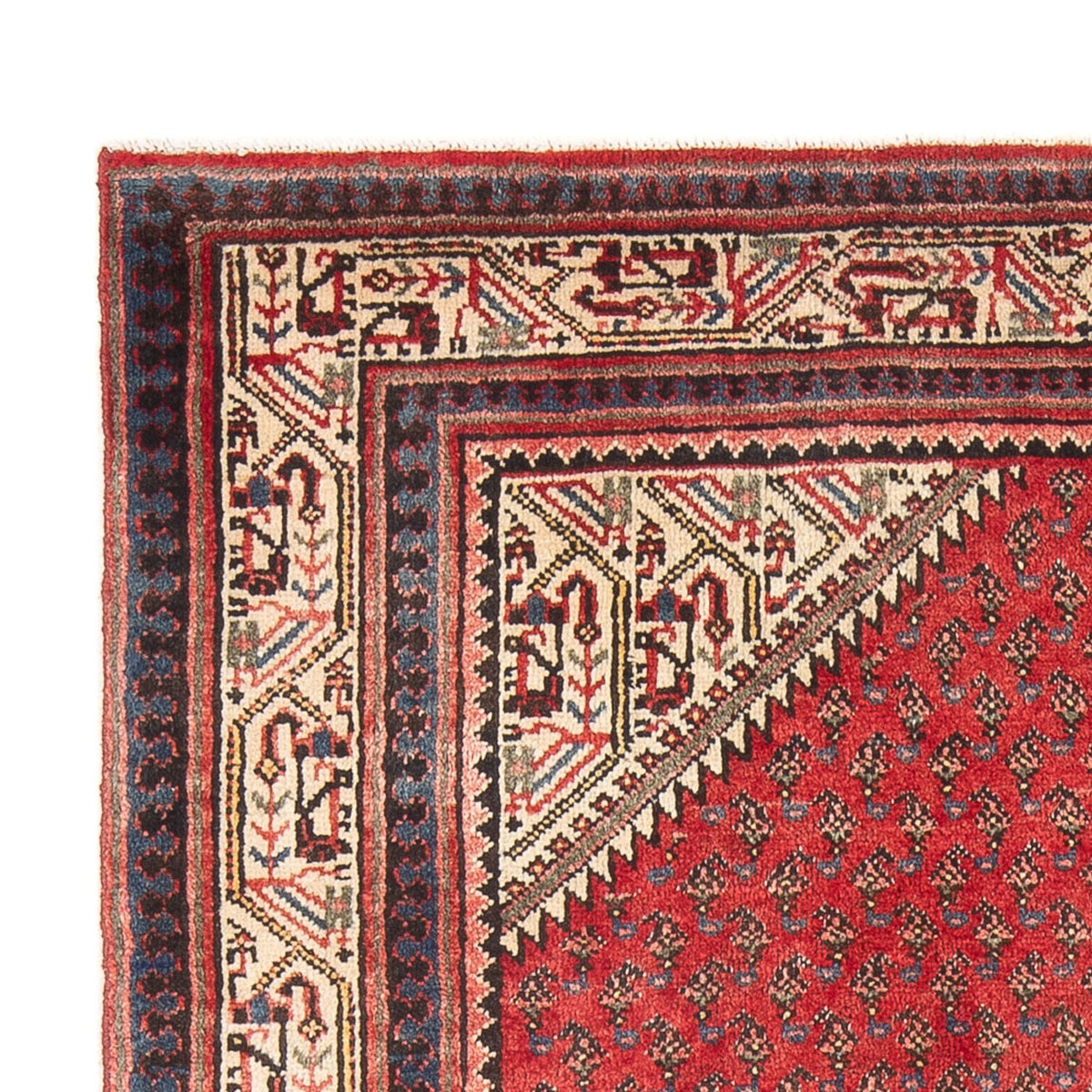 Hamadan Teppe 130x210cm - Persisk teppe
