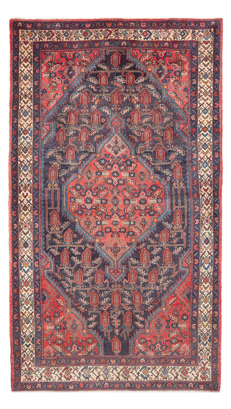 Hamadan Teppe 244x137cm - Persisk teppe