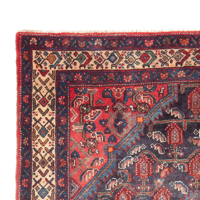 Hamadan Teppe 244x137cm - Persisk teppe