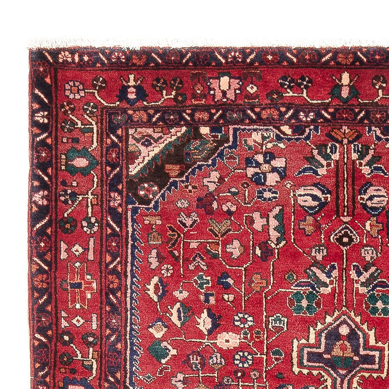 Kolyai Teppe 237x152cm - Persisk teppe