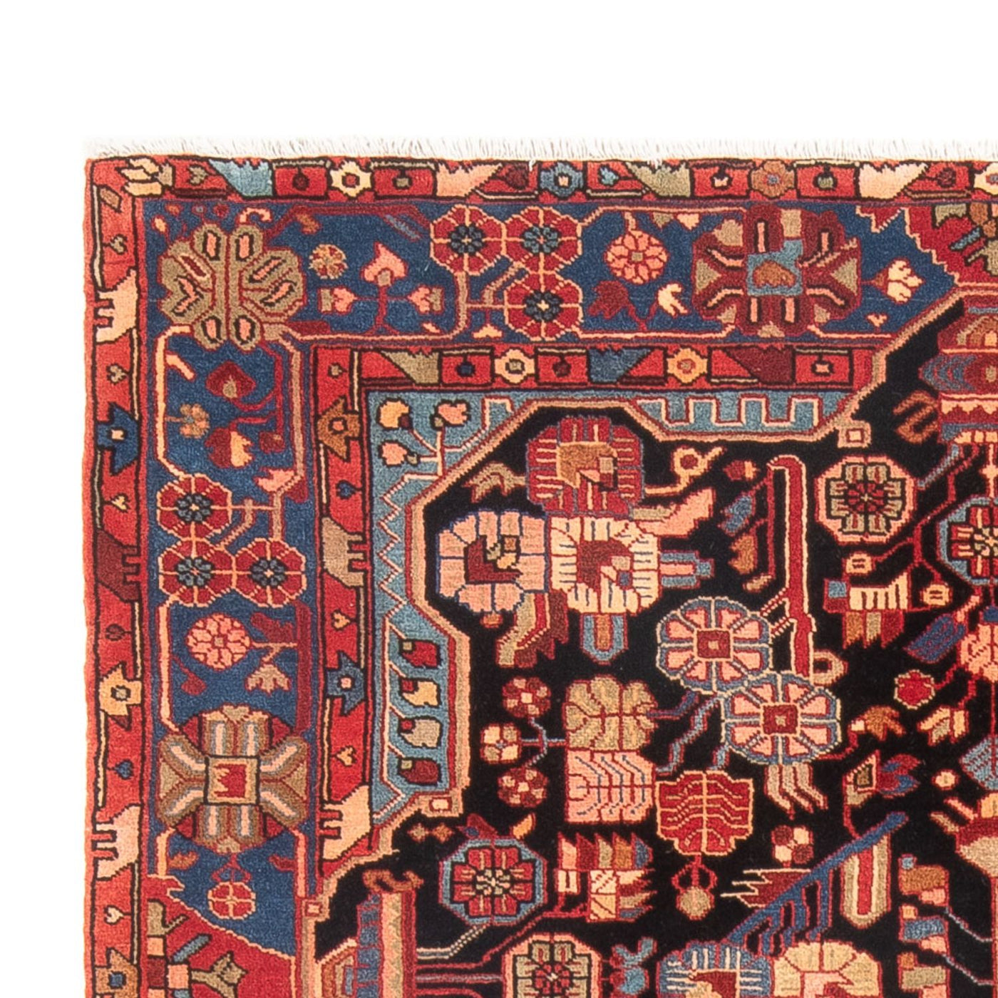 Nahavand Teppe 244x150cm - Persisk teppe