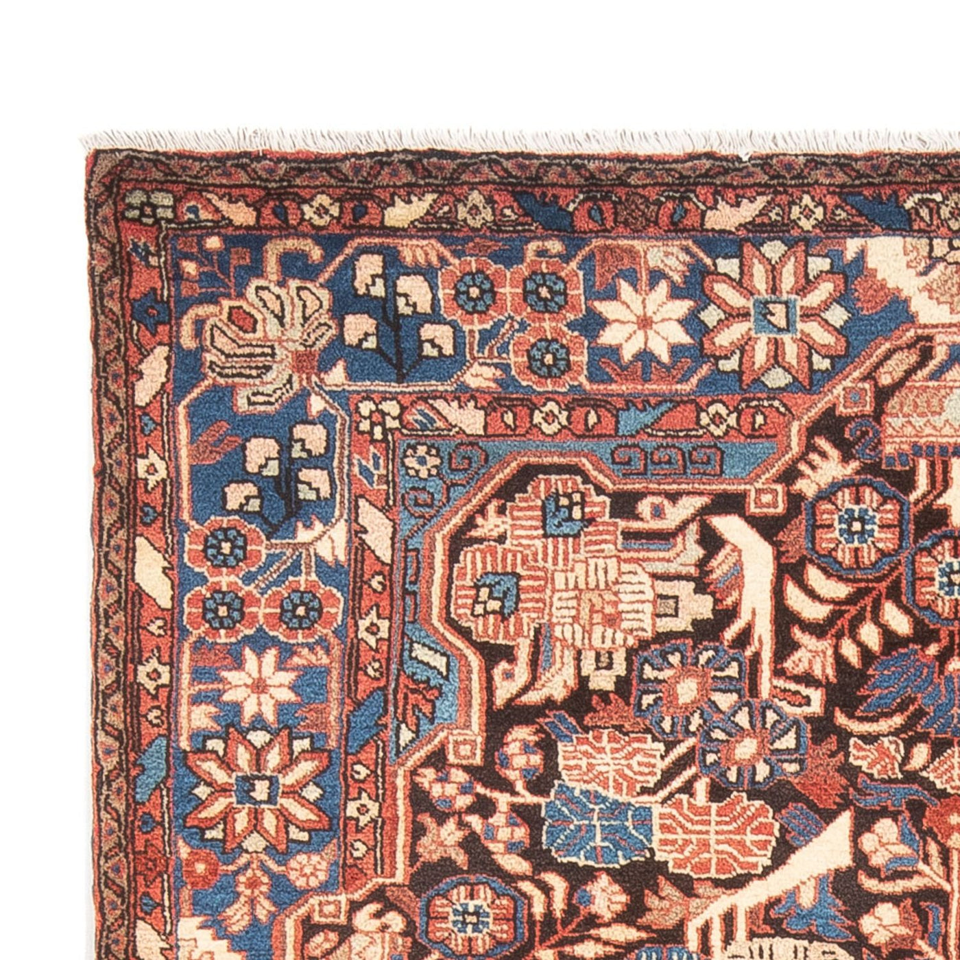 Nahavand Teppe 244x155cm - Persisk teppe