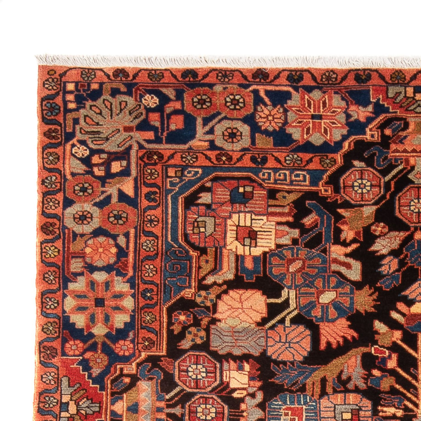 Nahavand Teppe 245x154cm - Persisk teppe