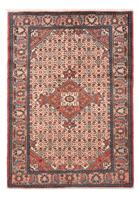 Rudbar Teppe 195x132cm - Persisk teppe – product image