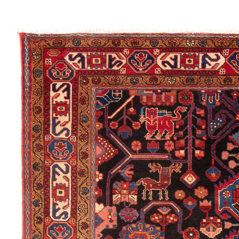 Hamadan Teppe 273x153cm - Persisk teppe