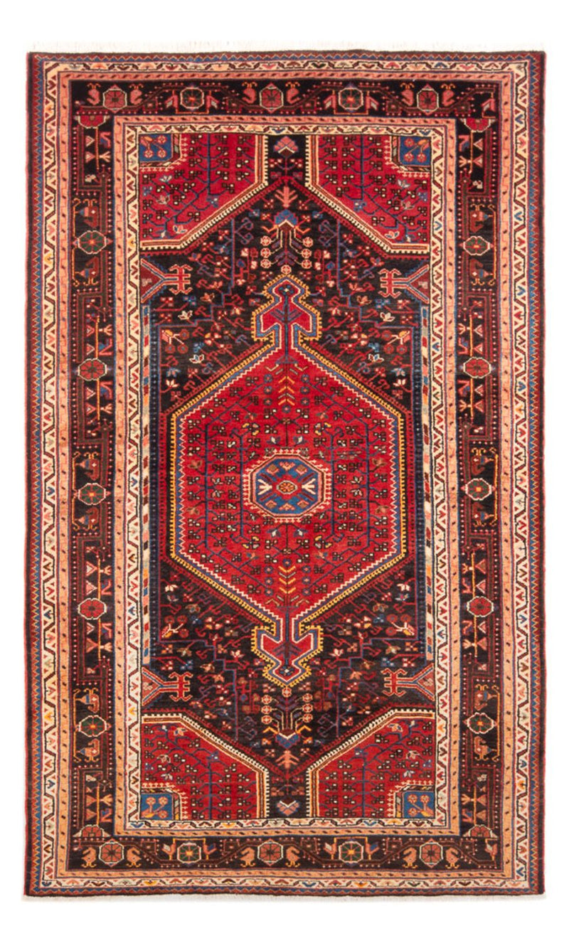 Hamadan Teppe 236x137cm - Persisk teppe