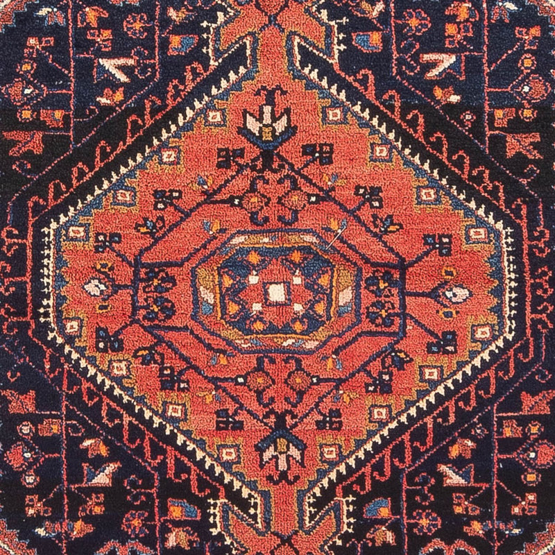 Hamadan Teppe 248x143cm - Persisk teppe