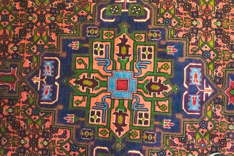Kolyai Teppe 200x305cm - Persisk teppe