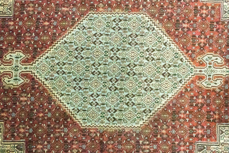 Senneh Teppe 300x195cm - Persisk teppe