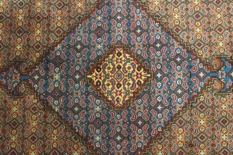 Kolyai Teppe 300x202cm - Persisk teppe