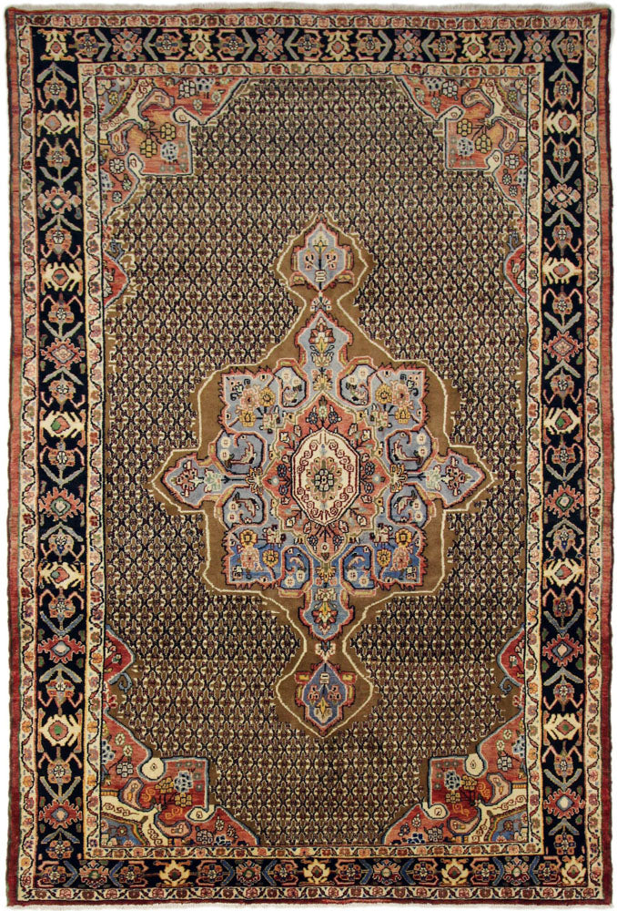 Kolyai Teppe 305x203cm - Persisk teppe