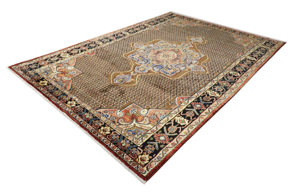 Kolyai Teppe 305x203cm - Persisk teppe