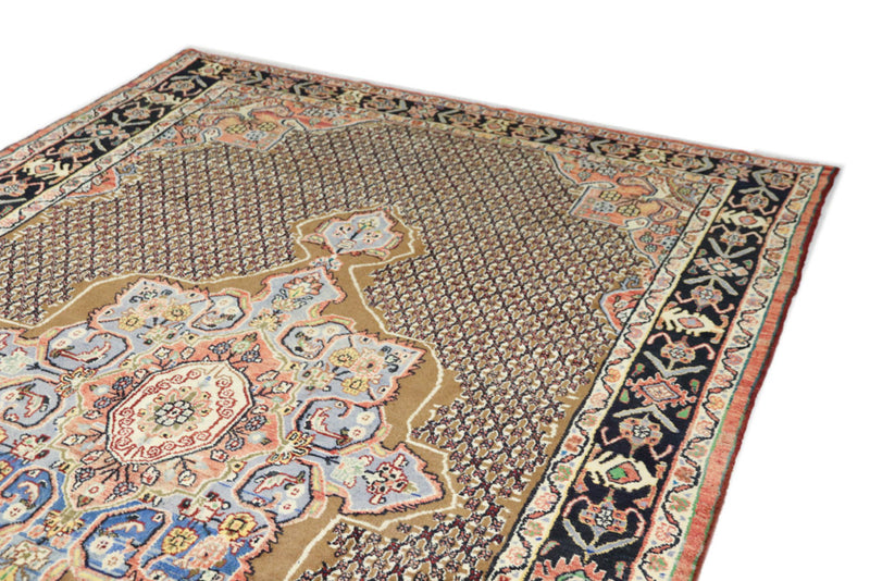 Kolyai Teppe 305x203cm - Persisk teppe