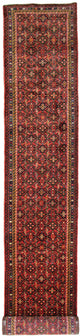 Hosseinabad Teppe 515x85cm - Persisk teppe