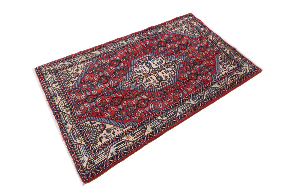 Rudbar Teppe 165x105cm - Persisk teppe