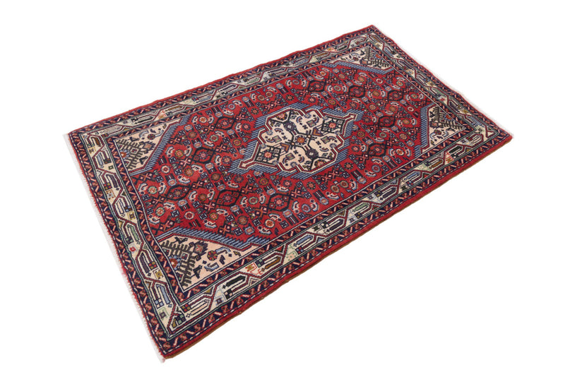 Rudbar Teppe 165x105cm - Persisk teppe