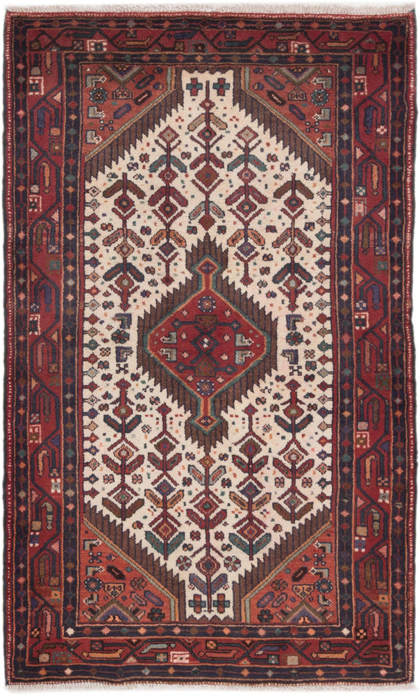 Hamadan Teppe 160x100cm - Persisk teppe