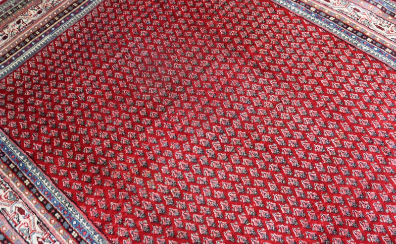 Sarouk Teppe 317x220cm - Persisk teppe