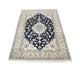 Nain - 6 la Teppe 256x172cm - Persisk teppe