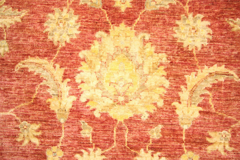Ziegler Teppe 239x164cm - Orientalsk teppe